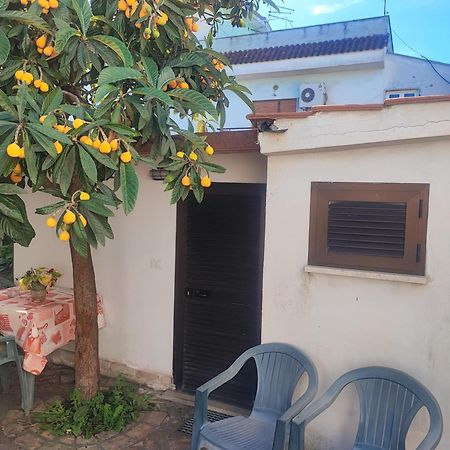 Little Lucia Apartamento Acilia Exterior foto
